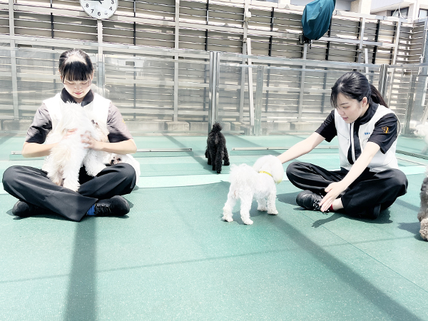 Ｗａｎ活のお散歩！